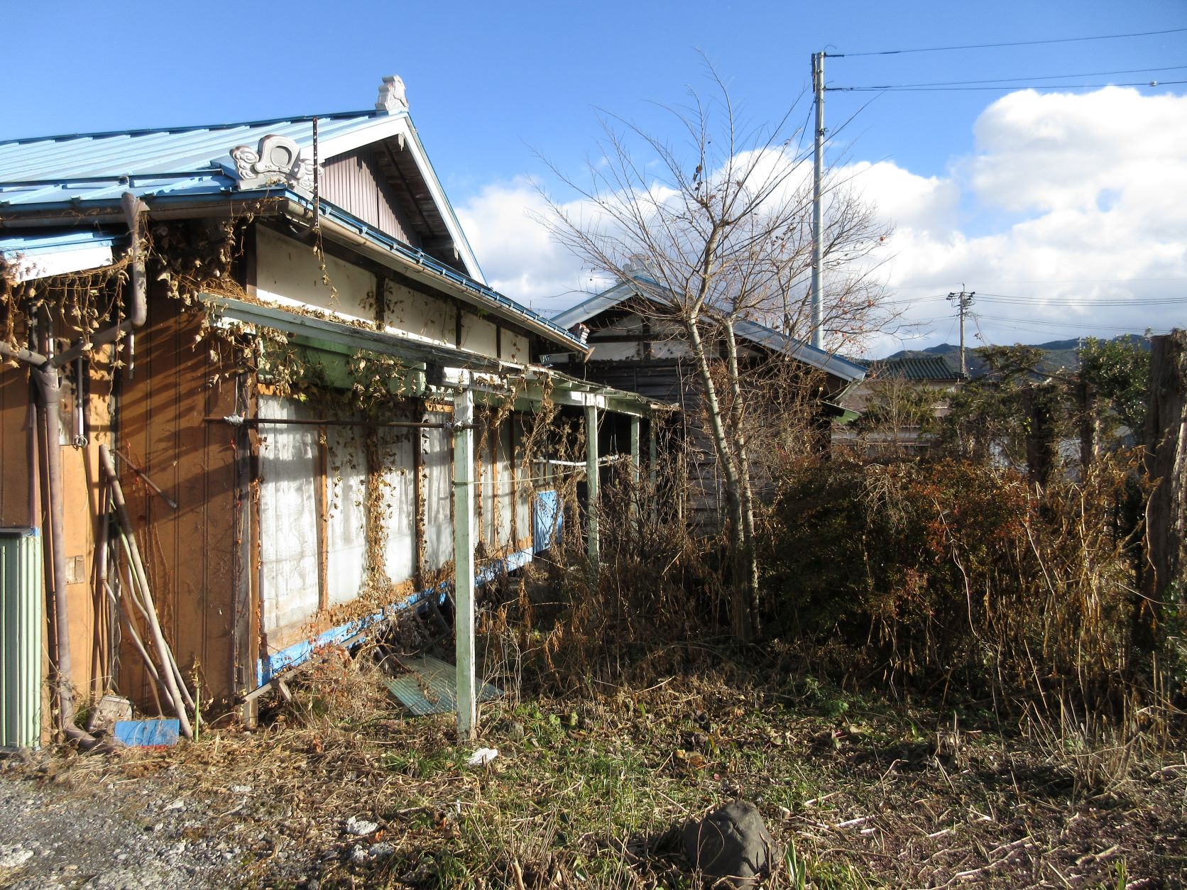 土地（南西側より）