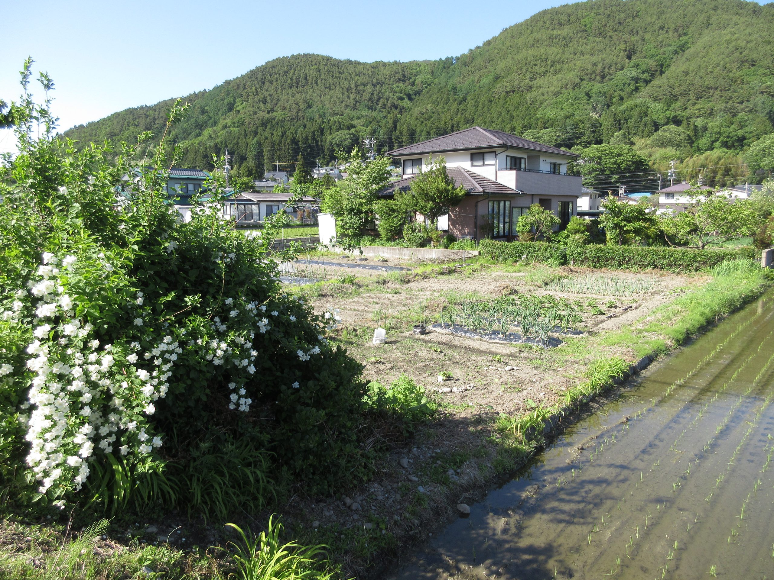 接道との段差あり