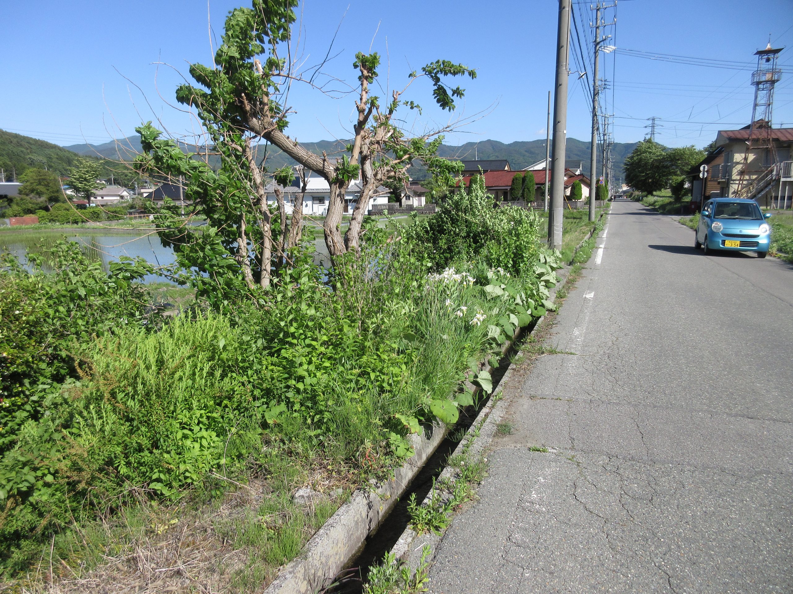 西側接道：町道62号